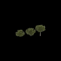 Green Pine Tree Decorative Ornament Set with Various Sizes for Home Decor