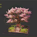 Decorative Pink Flowering Tree with Small Red Pavilion Stone Path and Green Grass Base