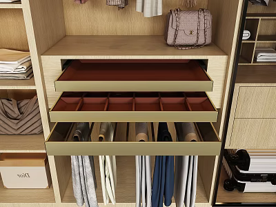 Efficient Wardrobe Storage Baskets With Drawer Dividers Organized Clothes And Handbag 3d model