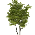 Green Leafy Trees Decorative Ornament Set For Home Garden Decoration