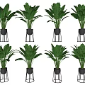 Large Green Leaf Potted Plant With Black Pot And Metal Stand For Modern Indoor Decoration