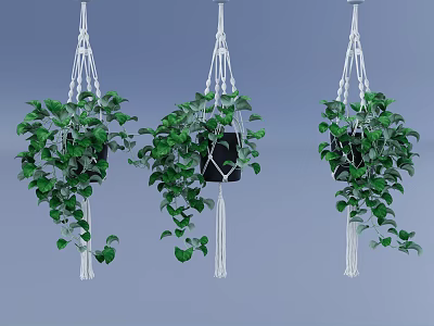 Lush Green Hanging Plants In White Macramé Hangers With Trailing Vines 3d model