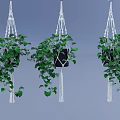 Lush Green Hanging Plants In White Macramé Hangers With Trailing Vines