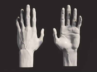 White Hand Models Showcasing Palm And Finger Details Against Dark Background 3d model