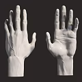 White Hand Models Showcasing Palm And Finger Details Against Dark Background