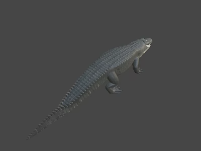 Realistic 3D Crocodile Model With Detailed Scaly Skin And Gray Background 3d model