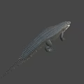 Realistic 3D Crocodile Model With Detailed Scaly Skin And Gray Background