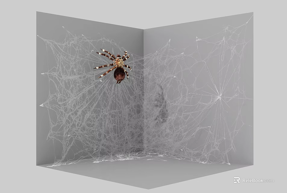 Spider Resting On Intricate Spider Web In Corner With Detailed Silk Structure 3d model 