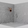 Spider Resting On Intricate Spider Web In Corner With Detailed Silk Structure 3d model