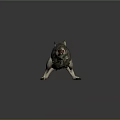 Standing Wolf With Fluffy Fur Open Mouth And Exposed Teeth On Dark Surface