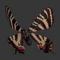 Beautiful Butterfly With Striped Brown And Orange Wings In Flight Against Dark Background With Reflection