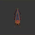 Colorful Iridescent Beetle With Shiny Metallic Body And Red Eyes