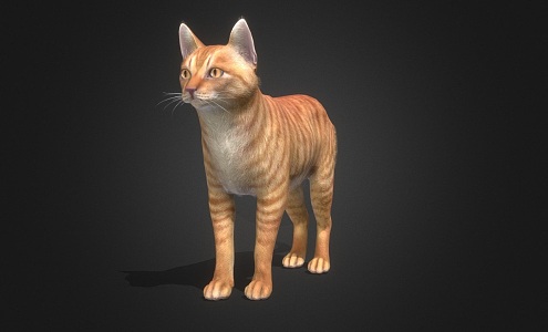 Domestic Cat 3d model