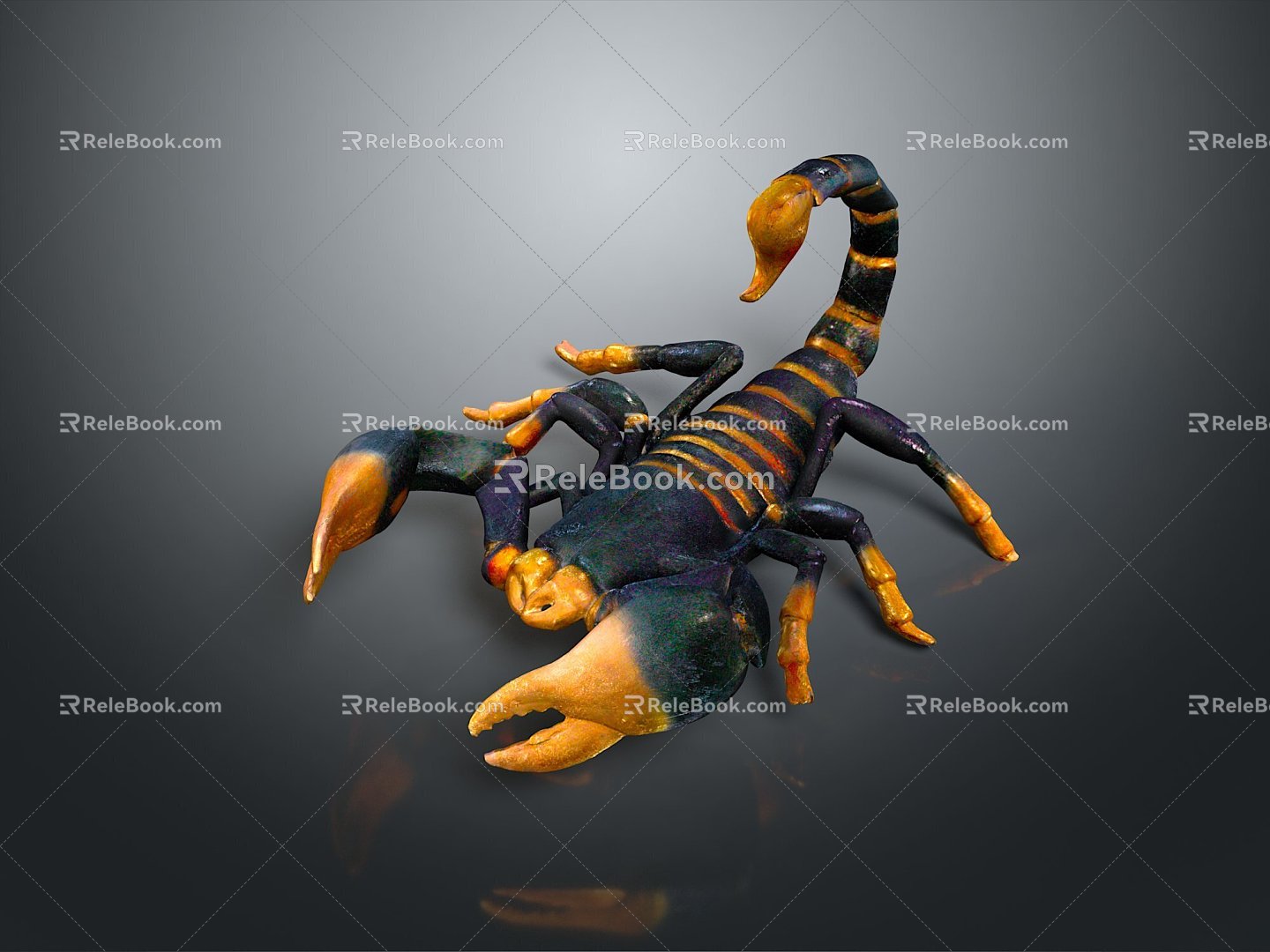 Five Striped Scorpion Karoleni Scorpion Italian Scorpion Mexican Scorpion Soves Scorpion East Asian Piners Scorpion Scorpion Scorpion 3d model