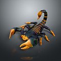 Five Striped Scorpion Karoleni Scorpion Italian Scorpion Mexican Scorpion Soves Scorpion East Asian Piners Scorpion Scorpion Scorpion 3d model