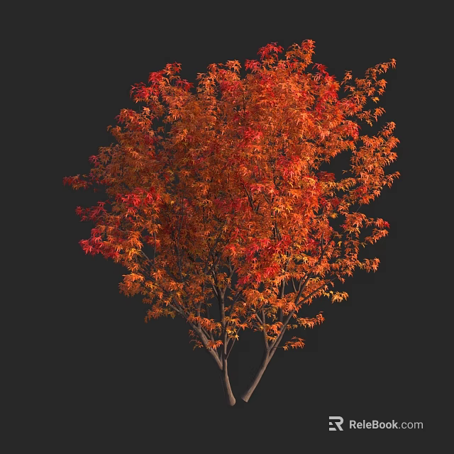 Vibrant Arbor With Orange Red Autumn Leaves Against Black Background 3d model 
