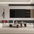 Modern Living Room Interior With TV Wall Wooden Shelves And Coffee Tables