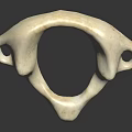 White Irregular Shaped Sculptural Object With Central Circular Hole And Side Openings On Black Surface 3d model