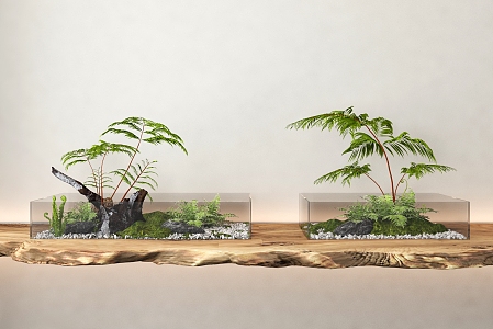 Silent Wind Micro Landscape Green Plant Bonsai 3d model