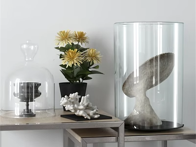 Stylish Interior Decor Collection with Glass Cloche Yellow Flowers Coral Fish Fin Sculpture and Transparent Container 3d model