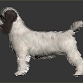 Modern toys than bear dog toys 3d model