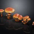 Fresh Orange Mushrooms of Various Sizes on Black Background With Reflections
