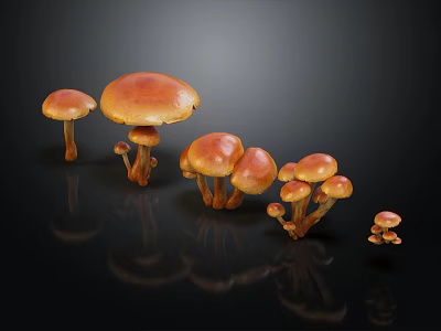 Fresh Orange Mushrooms of Various Sizes on Black Background With Reflections 3d model Fresh Orange Mushrooms of Various Sizes on Black Background With Reflections 3d model