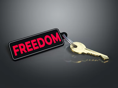 Metallic Key With Red FREEDOM Tag On Shiny Dark Surface 3d model