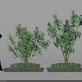 Modern Artistic Outdoor Plant Arrangement With Tall Green Plants Decorative Pedestals And Small Shrubs