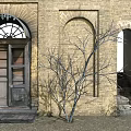 Ancient Architecture Exterior Featuring Brick Wall Arched Doorway Wooden Door And Bare Tree