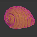 Marine Shellfish With Detailed Spiral Shell And Cream Colored Stripes On Black Background 3d model
