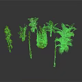 Various Green Plants Collection Including Vines Shrubs And Palm Trees Arranged On White Background