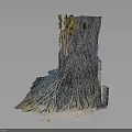 3D Organ Structure Model With Natural Hair Texture and Color Details