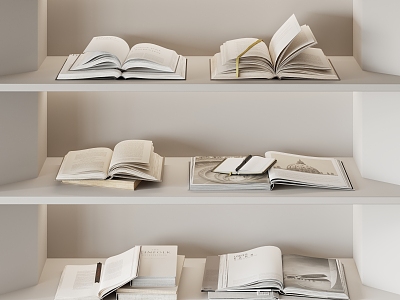 Modern Book Ornaments 3d model