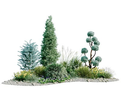 Diverse Trees with Conical and Round Canopies Surrounded by Shrubs Herbs on Gravel Ground 3d model