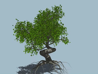 Twisted Tree 3d model Twisted Tree 3d model
