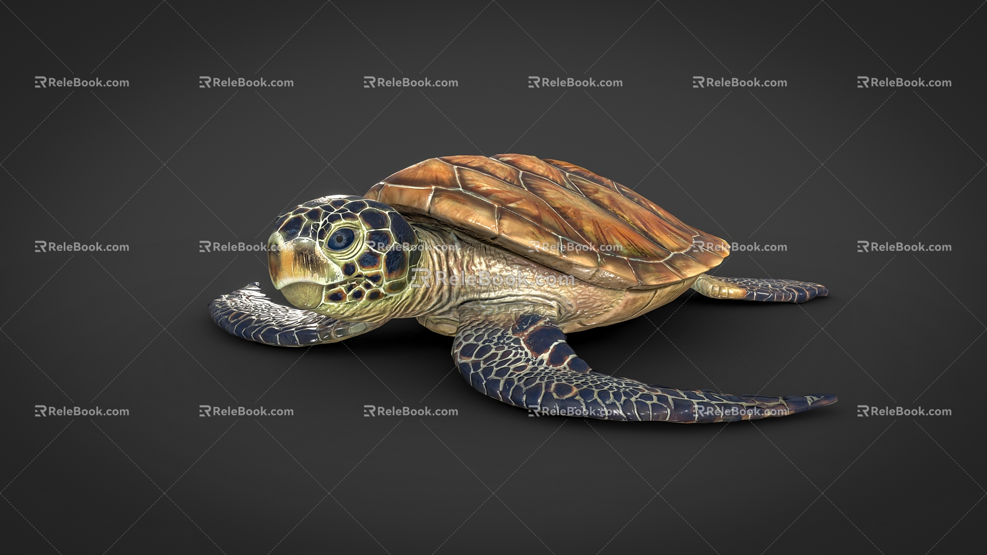 sea turtle turtle sea animals 3d model