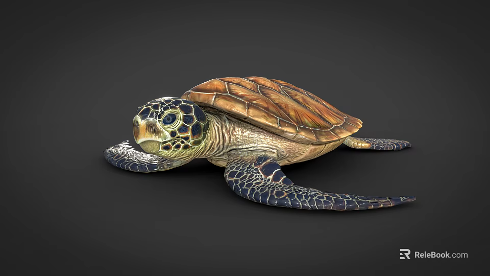 Sea Turtle With Brown And Green Shell And Patterned Flippers In Marine Life 3d model 