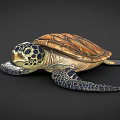 Sea Turtle With Brown And Green Shell And Patterned Flippers In Marine Life