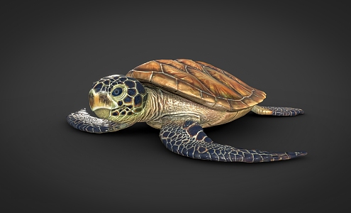 sea turtle sea animals 3d model