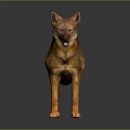 Brown And Black Dog With Erect Ears Standing Open Mouth On Shiny Reflective Floor