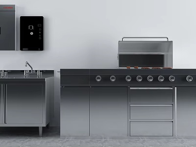 Modern Kitchen Interior With Stainless Steel Appliances Stove Sink And Cabinets 3d model