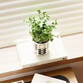 Modern Desk And Office Chair Setup With Laptop Tulips Lamp Stationery Blinds On Wood Floor