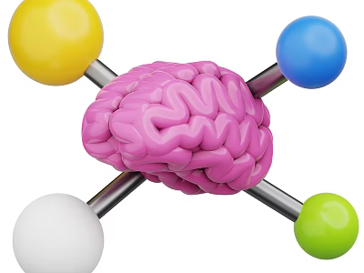 Human Brain Structure with Colored Spheres Connected by Metal Rods in Scientific Model 3d model