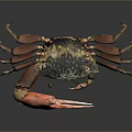 Vibrant Crab With Large Red Claws And Colorful Shell On Dark Background 3d model