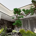 Indoor Chinese Garden Landscape With Rockery Green Plants And Water Feature