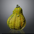 Yellow Green Striped Pear Shaped Decorative Squash With Textured Surface And Green Stem