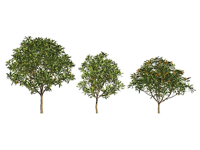 Three Lush Arbor Trees With Green Foliage And Brown Trunks In Natural Scene 3d model