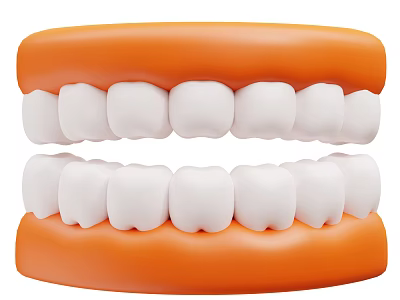 Decorative Ornament Set Featuring Orange Frame Dental Teeth Model with White Teeth 3d model
