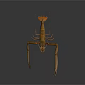 Aquatic Animal Shrimp With Long Claws Antennae And Detailed Body Structure On Dark Background